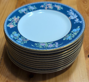 25+ Wedgwood Blue Siam for sale | Updated Oct 2026