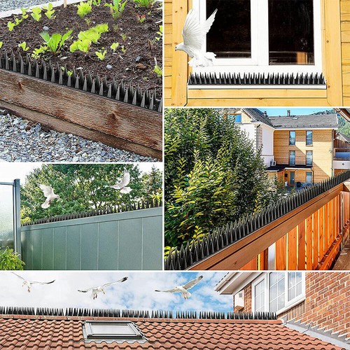 60x Bird Spikes Deterrent Anti Cat Human Possum Fence Spiked Mouse Pest Control - Picture 12 of 21