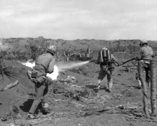 WW2 WWII Photo World War Two / US Marines Flamethrower in Action Iwo Jima