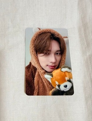 p1harmony unique Appl music Theo Photo Card