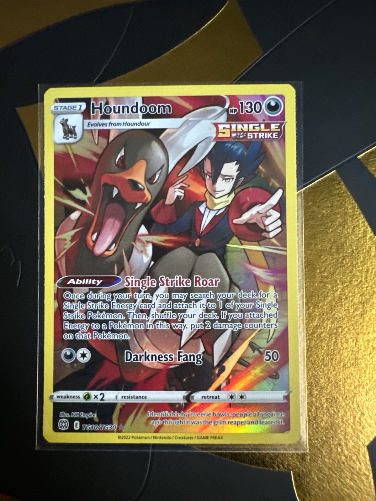 Houndoom TG10/TG30 - Brilliant Stars Trainer Gallery - Pokemon TCG (NM)