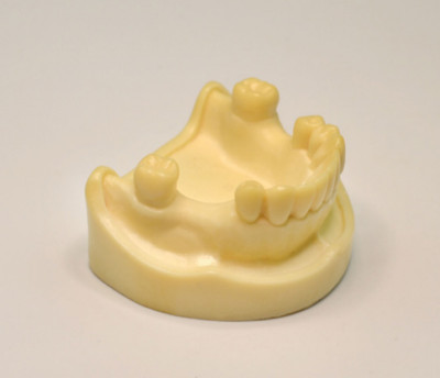 Dental Implant Model Lower Jaw Dental Training Dentistry Education Model