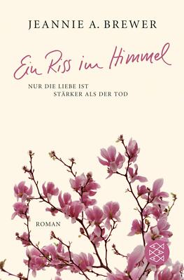 Ein Riss im Himmel von Jeannie Brewer (2008, Taschenbuch)