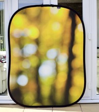 Lastolite/Manfrotto Collapsible Background (4x5' Seascape / Autumn Foliage)