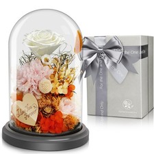 Birthday Gifts For Women Preserved Flowers Forever Rose Mom Wife Grandma Xmas