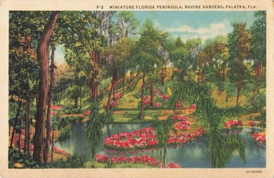 Palatka Florida, Ravine Gardens Miniature Florida Peninsula, Vintage Postcard