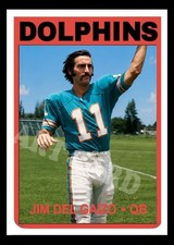 Jim Del Gaizo Dolphins Football Art Card