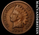 1891 Indian Head Cent- Scarce Better Date No Reserve #J1147