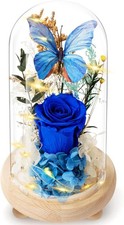 Forever Flowers Preserved Roses with Light in Glass Dome, Romantic Gifts for Mom