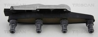 ZüNdspule Triscan 8860 67002 FüR Seat Skoda VW Lupo 1 6X1 6E1 Fabia 6Y2 Combi