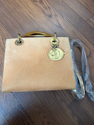Christian Dior Lady Dior Trotter Handbag Gold Hardware