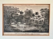Famous Antique Engraving, "A Fiatooka or Morai in Tongatapu",  John Webber