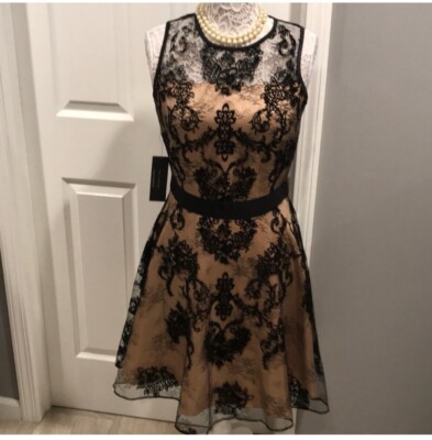 THE LIMITED Black Lace Dress Sz 6 Cocktail Sleeveless Ivory Lining | eBay