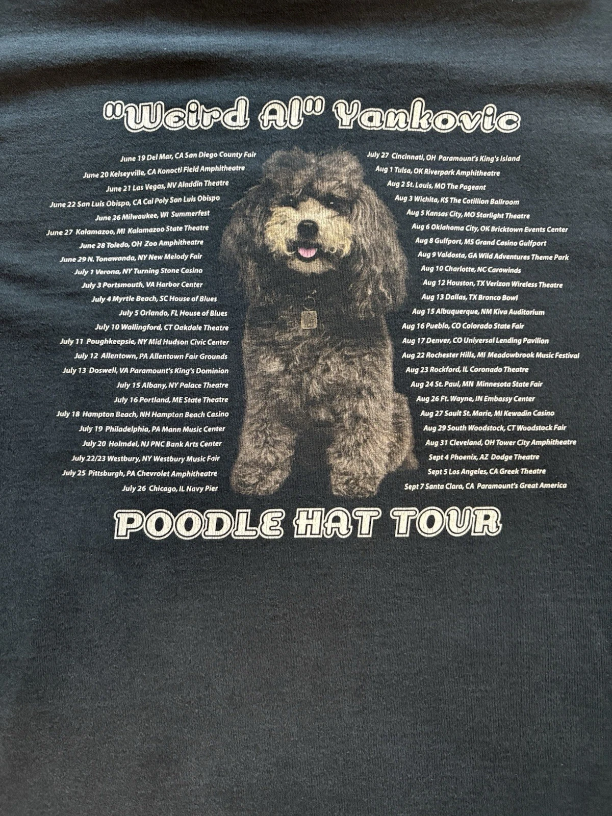 Fruit of the Loom Lofteez Weird Al Poodle Hat Tour Double-Sided Tee Gray S image 5