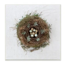 Tania Soderman Nature Photography: Peaceful Bird Nest & Speckled Eggs Photo