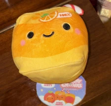 Cheeky Chonks 4.5" Sitrus Squeeze Reversible Plush Soft Toy NEW NWT