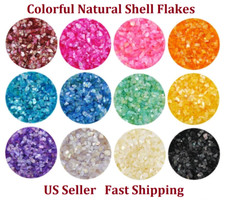 4g 3D Nail Art Sea Shell Flake Mermaid Abalone Sequins Powder Glitter Decoration
