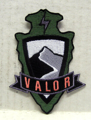 MAG Massive Action Game-VALOR FRACTION Logo 3.75'' Embroided Patch- USA Mailed