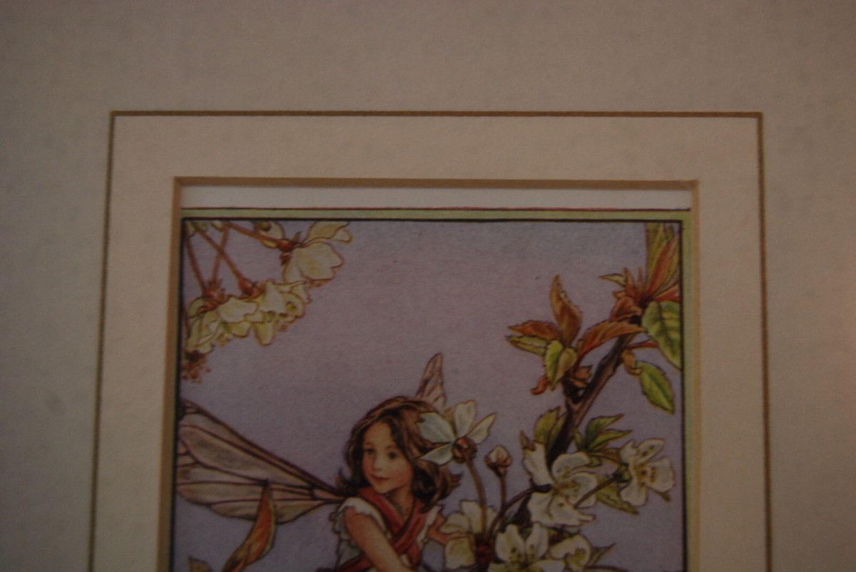 VINTAGE THE WILD CHERRY BLOSSOM FAIRY BY CICELY M BARKER MAT