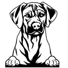 Rhodesian Ridgeback Black Decal Car Truck Window Laptop Tablet Notebook Tumbler