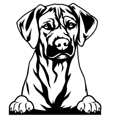 Rhodesian Ridgeback Black Decal Car Truck Window Laptop Tablet Notebook Tumbler