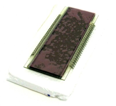 NEW YSI 090225 LCD DISPLAY 