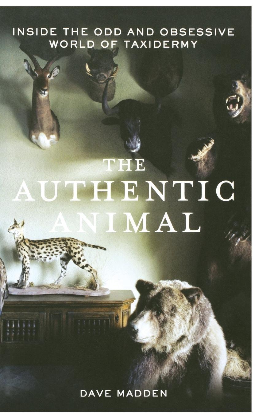 Thumbnail - Authentic Animal | Dave Madden | Taschenbuch | Paperback | Englisch |