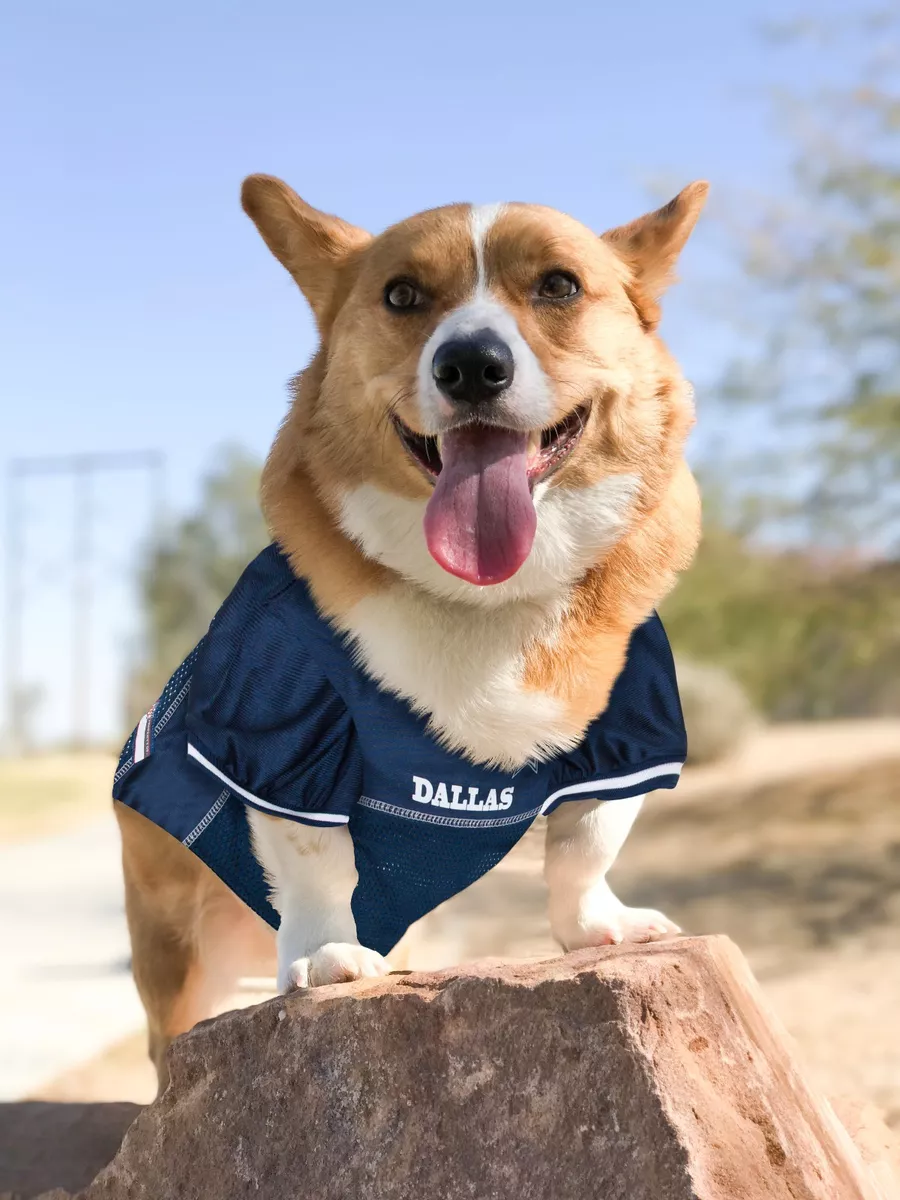 Dallas Cowboys Dog Jersey