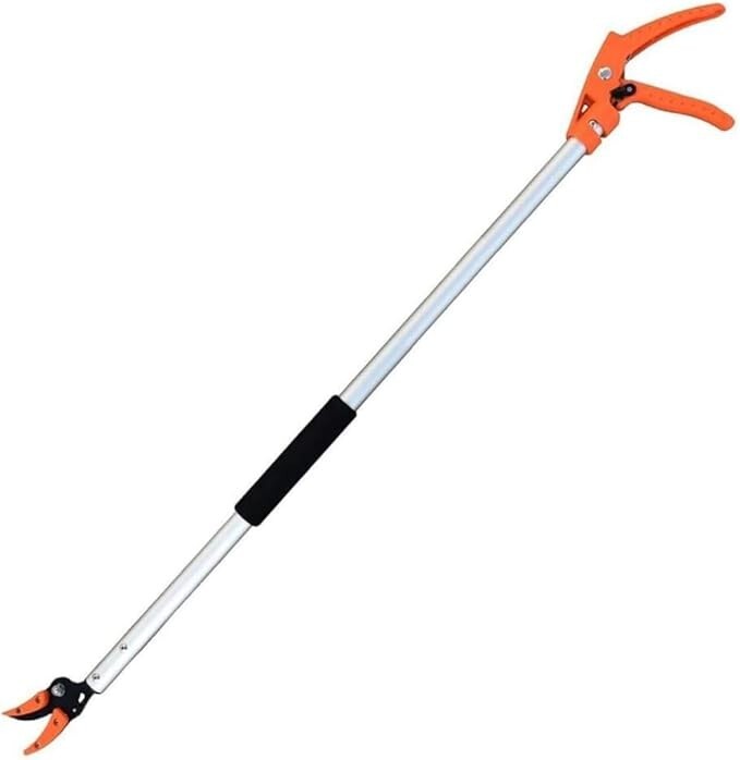 Classic - Cesoie da potatura professionali in acciaio forgiato 21cm