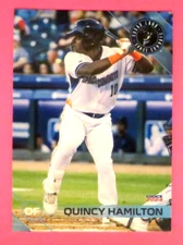 2024 Choice, Sugar Land Space Cowboys - QUINCY HAMILTON