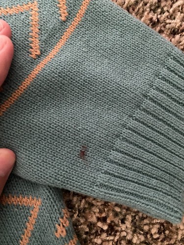 Cotton & Rye Turqoise Longhorn Sweater - Picture 4 of 7