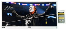 Sting signed 10x20 Metallic Photo WCW Wrestling JSA Authentication *Damage*