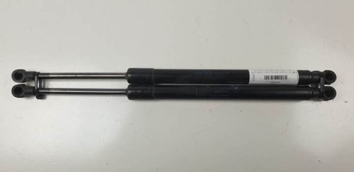 51247250308 3080202 gasfeder kofferraum für BMW SERIE 3 BERLINA (E90) 320D AUT