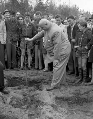 Frankfurt's Lord Mayor Walter Kolb plants a tree city forest Frank- 1952 Photo