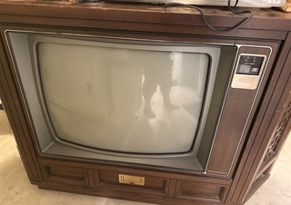 Vintage Zenith Space Command SE2505P Wood Consol Tv No Remote Works