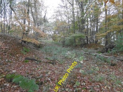 Foto 6x4 Wald jenseits des Zauns Brechin einmal von einem wilden Zaun abgeschnitten c2015