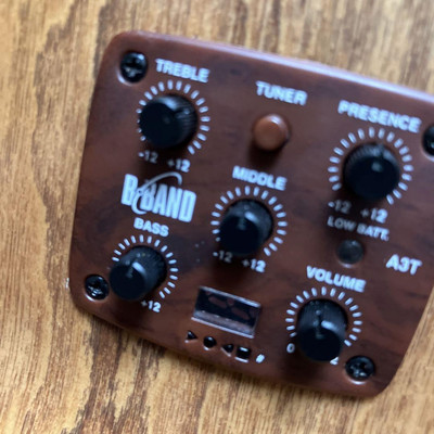 Electric Acoustic Guitar Simon & Patrick CWGT Mini Jumbo Flat top