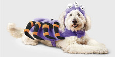 Boots  Barkley Pet Dog Costume Medium Purple Orange Spider