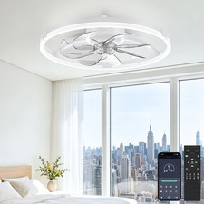 20'' Low Profile Ceiling Fan with Lights, Ceiling Fans with Lights and Remote...