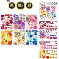 Nature Dried Pressed Flowers Set for Resin Craft Jewelry Nail Art Scrapbook