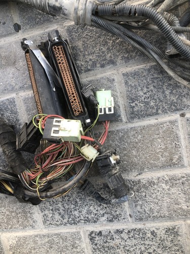 BMW E39 520i 523i 528i M52 M52b28 M52b25 ECU DME EGS ENGINE WIRING HARNESS - Picture 4 of 23