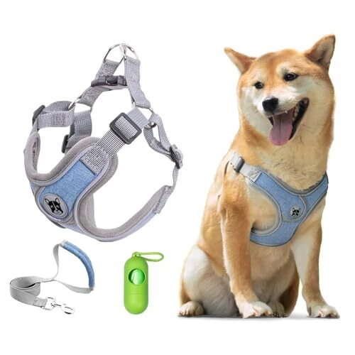Dog Harness with Leash Set, No S (Neck 14.7-17.8'' Chest 17.0-21.7'') Blue Dog Harness with Leash Set, No S (Neck 14.7-17.8'' Chest 17.0-21.7'') Blue