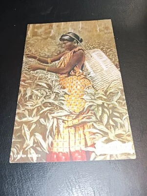 Plucking Tea, Dambatenne Estate, HAPULTALE, Ceylon / Sri Lanka - Lipton's Advert - Image 1 of 2