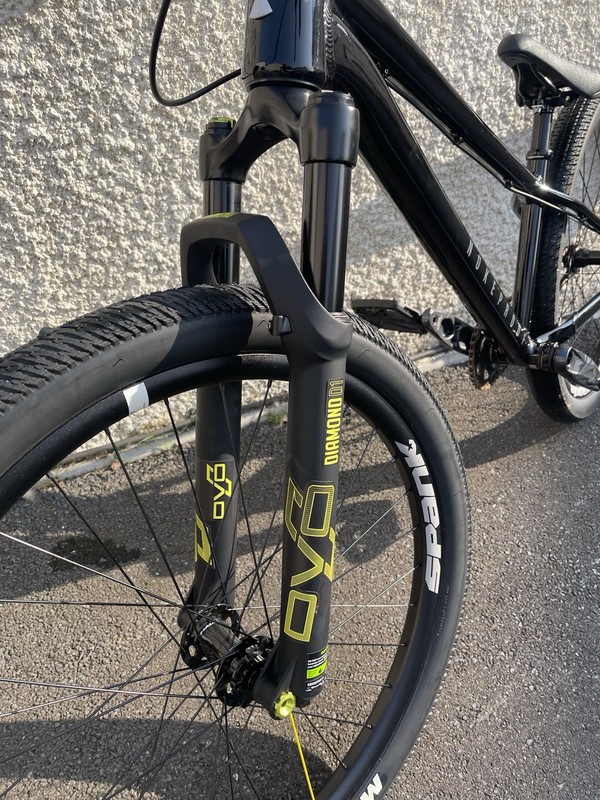 Nukeproof Solum DJ Long Frame Custom Build