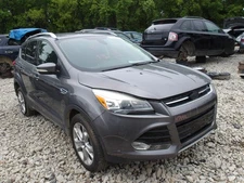 Used Deck Lid fits: 2014 Ford Escape privacy tint glass power lift w/rear view c