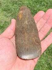5 3/8 Inch Authentic Ancient Petrified Wood Celt From Louisiana. Great Form