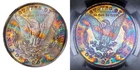 1883-O NGC MS63 MORGAN $ RARE MUTICOLOR VIBRANT RAINBOW TONING (VIDEO} **