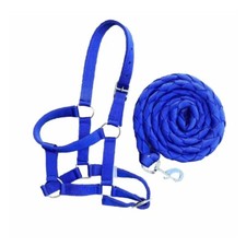 Horse Halter 1 Inch Nylon And 6ft 6 Nylon Lead In Royal Shetland Pony Cob Full