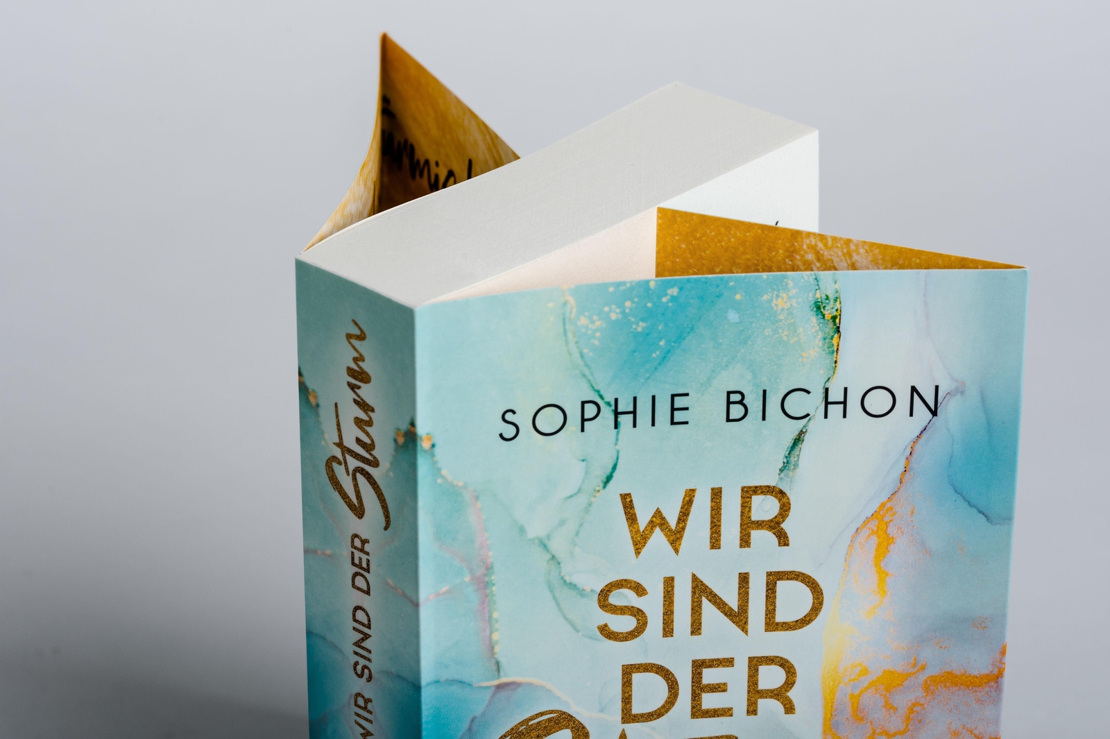 Thumbnail - Sophie Bichon | Wir Sind Der Sturm | Taschenbuch | Deutsch (2020) |