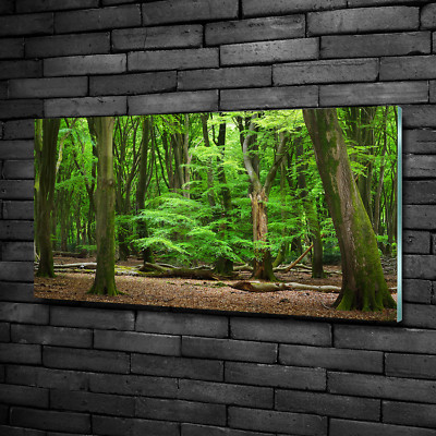 Wandbild Glas-Bild Druck auf Glas 100x50 Deko Landschaften Niederlande Wald